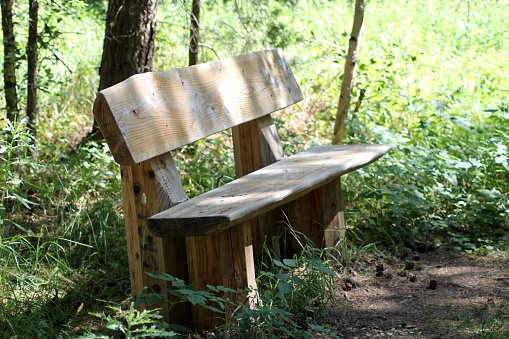 Bench at public park.