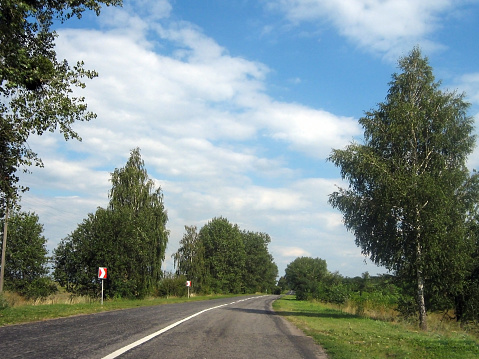 Perspective view of an empty country road between birch trees against a blue sky with clouds