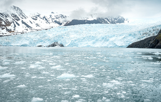 Beautiful icebergs and Aialik Glacier in Kenai Fjords National Park Alaska, USA