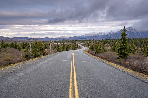 Denali Park road running through the beautiful alpine scenery of Denali National Park Alaska, USA