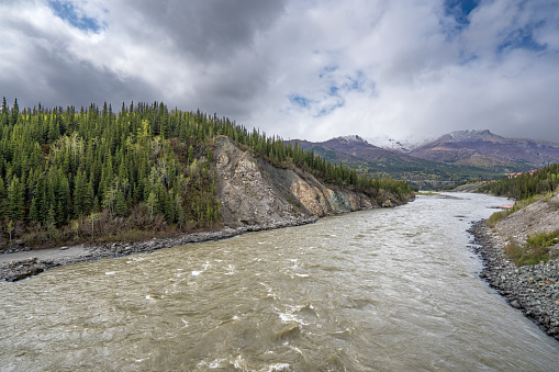 River in the beautiful alpine scenery of Denali National Park Alaska, USA