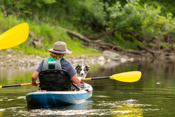 istock Girl & Dog Kayaking Down Rum River in Summer 1500143766