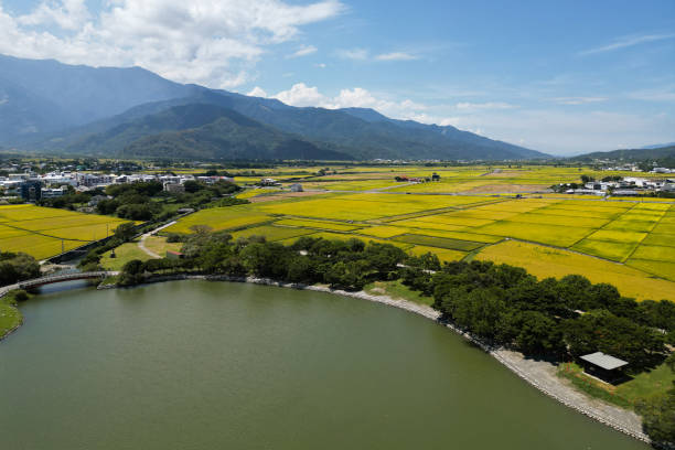 istock Dapo Pond, a lake in Chishang 1500145617