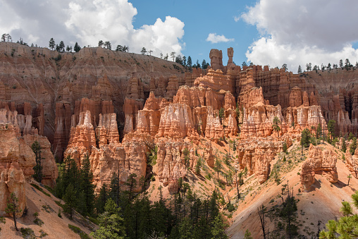 A temple of hoodoos is bridled in light with a shaded canyon wrapping behind it.