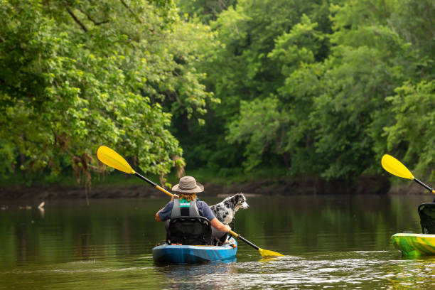 istock Girl & Dog Kayaking Down Rum River in Summer 1500148899