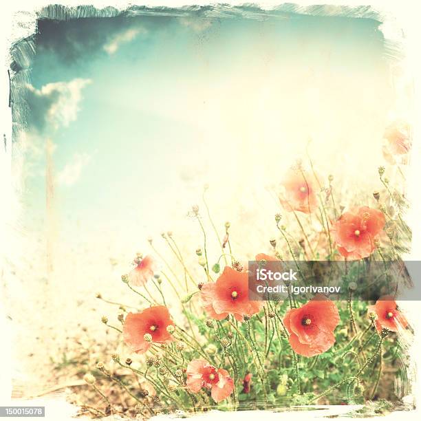 Poppies Contro Il Cielo Rosso - Fotografie stock e altre immagini di Aiuola - Aiuola, Ambientazione esterna, Bellezza naturale