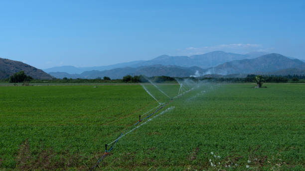 istock irrigation system in the cultivated field 1500153986