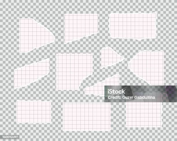 Paper Riped Math Ripped White Lined Scetchbook Math Note Paper Pieces Vector ...