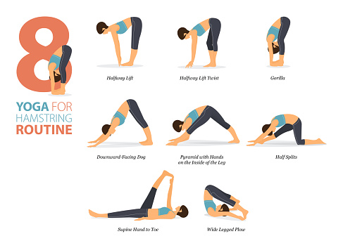 Infographic 8 Yoga poses for workout at home in concept of hamstring routine in flat design. Women exercising for body stretching. Yoga posture or asana for fitness infographic. Flat Cartoon Vector Illustration.