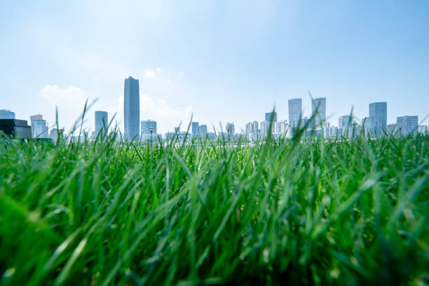 shanghai skyline in cloudy day, showing the Huangpu river with passing cargo ships, financial district and thick grass
