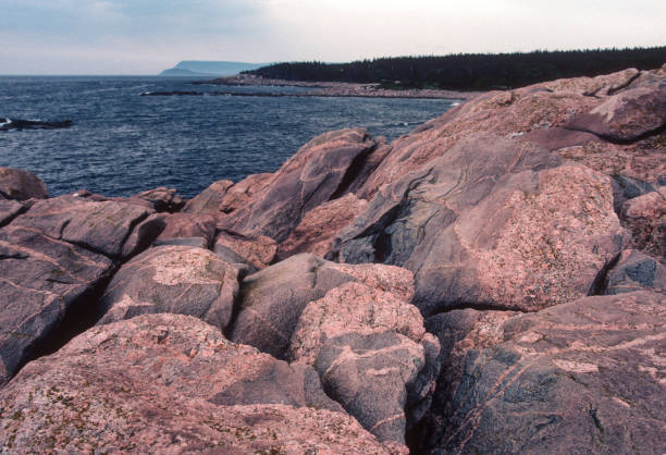 istock Cape Breton Highlands NP - Weathered Rocks on Shore - 1985 1500159907