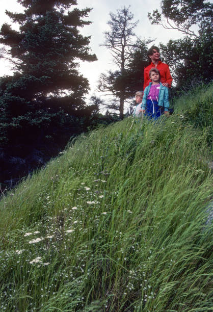 istock Cape Breton Highlands NP - View from the Hill - 1985 1500162225