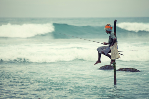 The stilt fisherman in the sea , Sri Lanka, Asia.