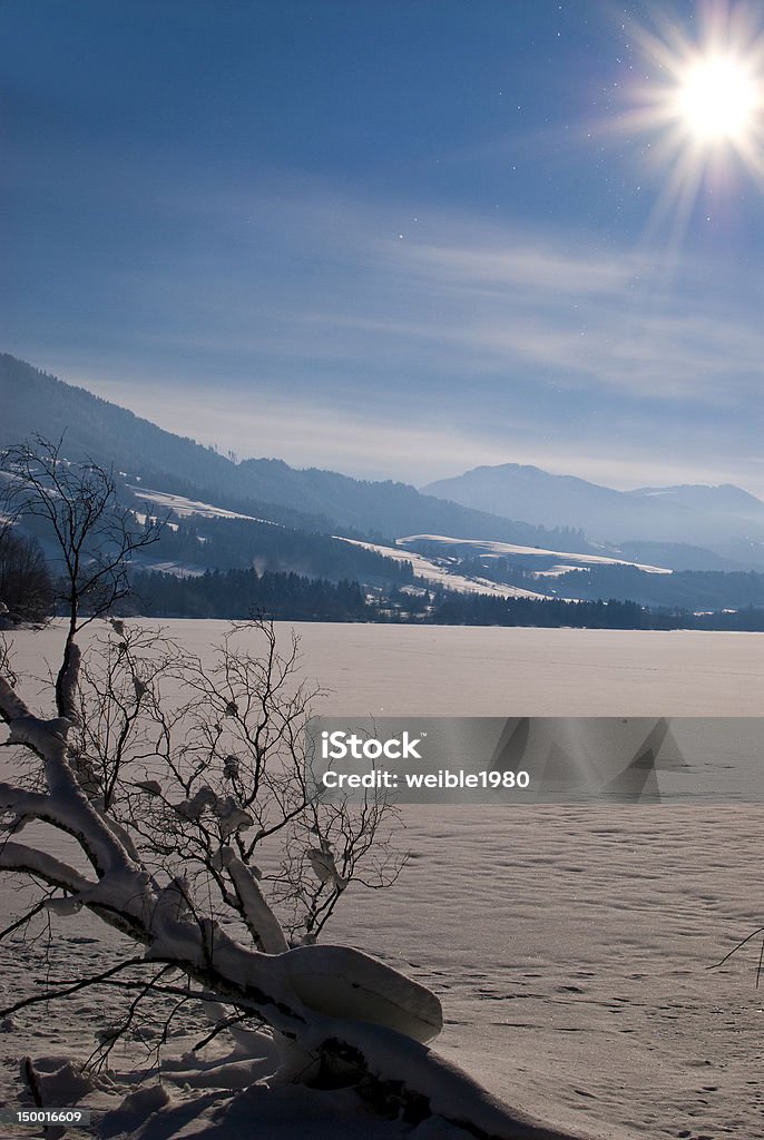 Alter Baum im winter Landschaft Sonne und blauem Himmel - Lizenzfrei Abgestorbene Pflanze Stock-Foto