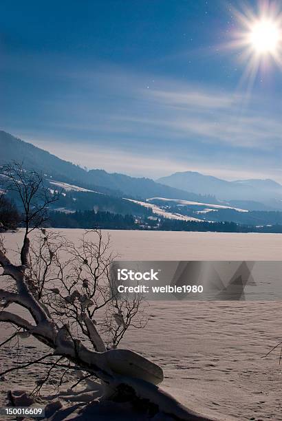 Alter Baum Im Winter Landschaft Sonne Und Blauem Himmel Stockfoto und mehr Bilder von Abgestorbene Pflanze