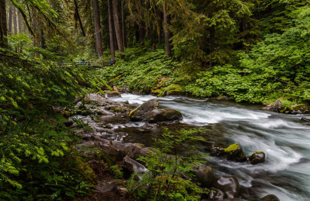 istock Sol Duc at Olympic National Park 1500166220