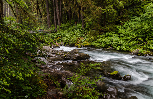 Sol Duc at Olympic National Park