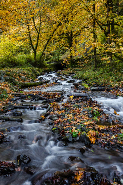 istock Fall at the Columbia Gorge 1500166859