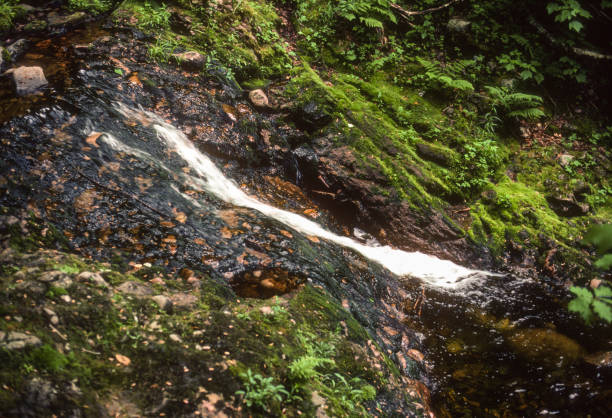 istock Cape Breton Highlands NP - Beulach Ban Falls Slender Channel  1985 1500166973