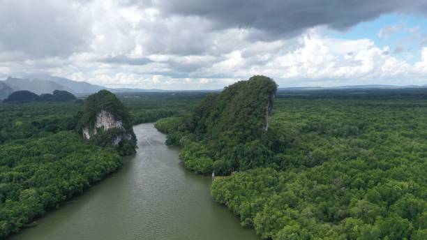istock Aerial view in Krabi Thailand 1500168116