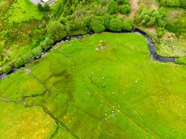 Beautiful aerial top-down landscape of the Killarney National Park on cloudy day. Hiking in County Kerry, Ireland