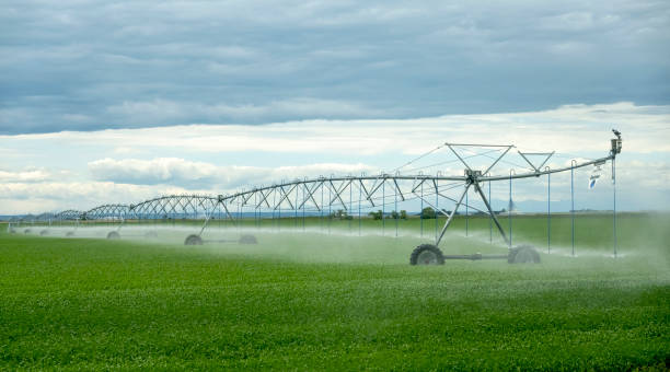 istock A spray water irrigation system at an agriculture facility farm in Lethbridge, Alberta, Canada 1500169854