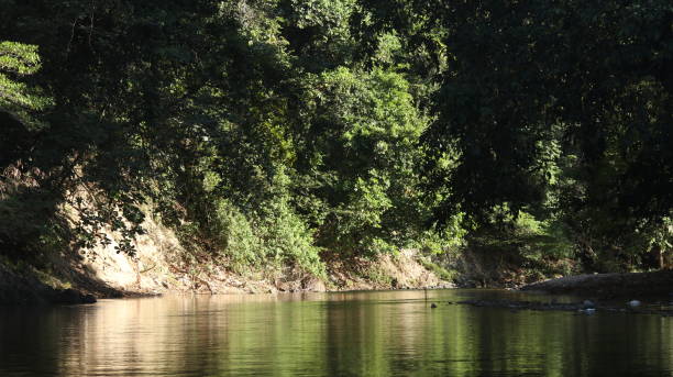 istock Water stream in summer green nature 1500179095