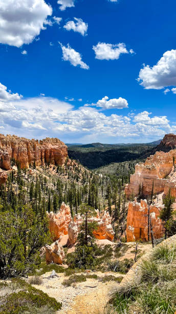 istock Swamp camp overlook in Bryce Canyon National Park in Utah 1500182019