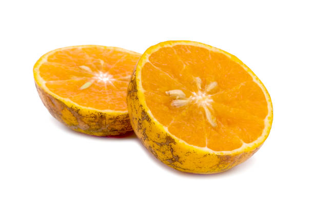 istock half of orange isolated on the white background,Thai fruit 1500184411