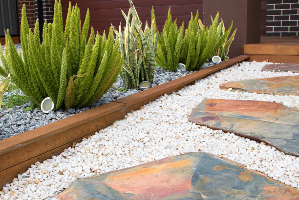 Modern front yard design with a lot of natural elements stock photo