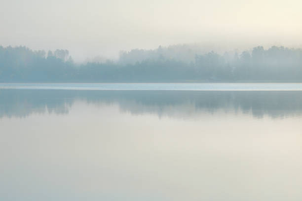 istock Minimlistic background with forest reflection on the water 1500191665