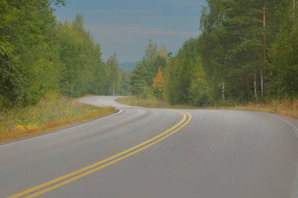 Fog highway road driving car danger