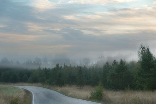 Early morning sky background with clouds, over a misty forest, Northern Europe