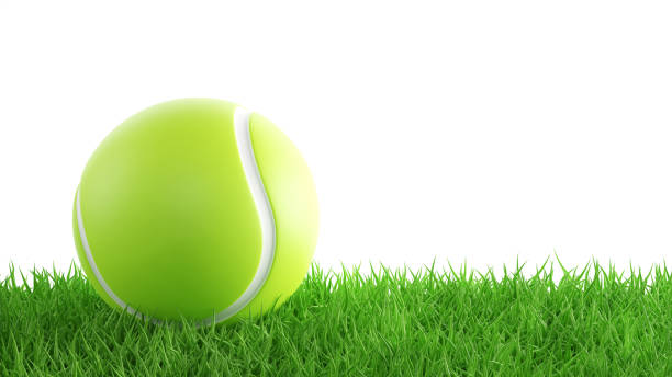 bola de tenis sobre hierba verde - torneo de tenis fotografías e imágenes de stock