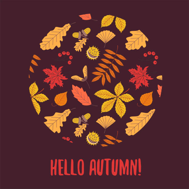 ilustraciones, imágenes clip art, dibujos animados e iconos de stock de carro de hojas de otoño. otoño otoño hojas en forma de círculo e inscripción hola otoño. - september wind november chestnut