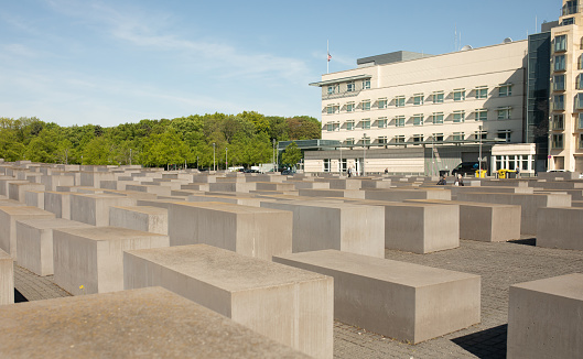 Berlin, Germany - September 24, 2023: A picture of a tree on the Memorial to the Murdered Jews of Europe.