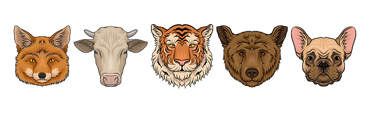 Wild and Domestic Animal Snout or Muzzle with Fur Vector Set. Mammal Species and Fauna Concept
