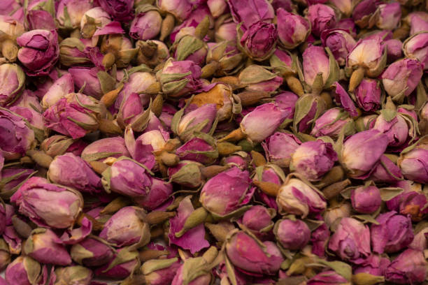 istock Dry tea roses isolated on white background. 1500211194