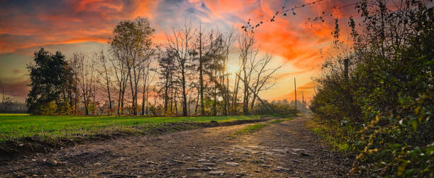 Sunset in a country road