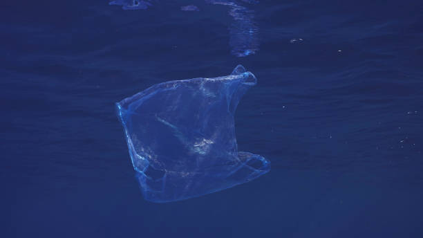 istock Disposable blue plastic bag floats under surface in blue water. Plastic bag thrown into sea drifts under surface of blue water in morning time, Red sea, Egyp 1500216355