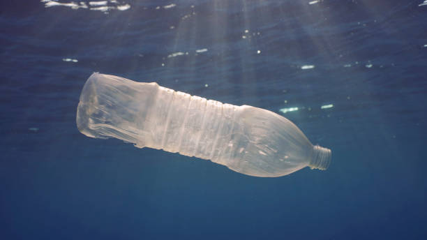 istock Disposable plastic bottle drift under surface of water in bright sunrays. A plastic bottle is thrown into the sea slowly drifts in water column in rays of morning sun, Red sea, Egypt 1500216401