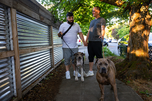 Two Affectionate gay men in love, having a relaxing evening walk through a Portland Oregon Neighborhood. They are walking their two dogs on leashes. The men are in their 30s and early 40s both multiracial people.