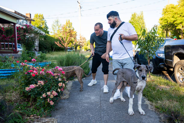 istock Two Affectionate Gay Men Walking With Their Pet Dogs 1500216850