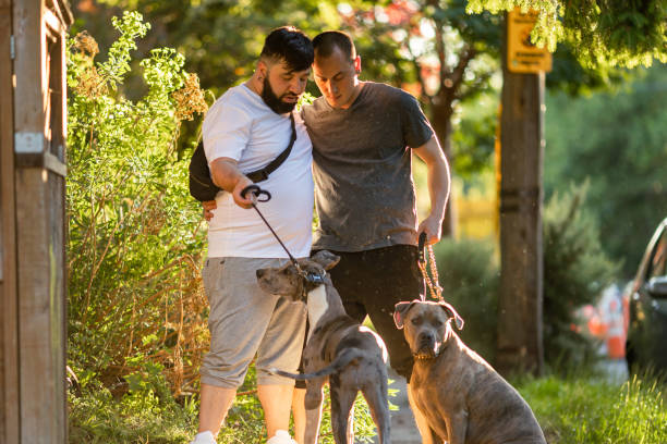istock Two Affectionate Gay Men Walking With Their Pet Dogs 1500216923