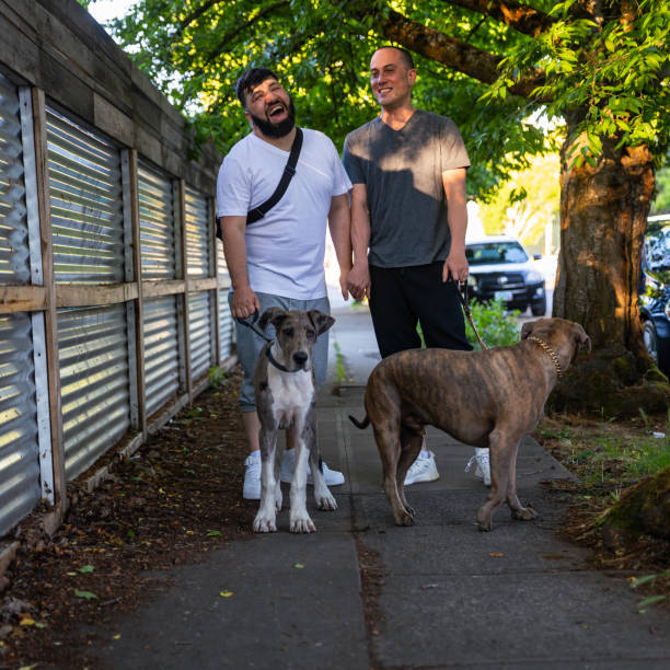 istock Two Affectionate Gay Men Walking With Their Pet Dogs 1500216928