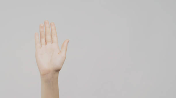 istock Hello gesture greeting sign female hand light 1500217948