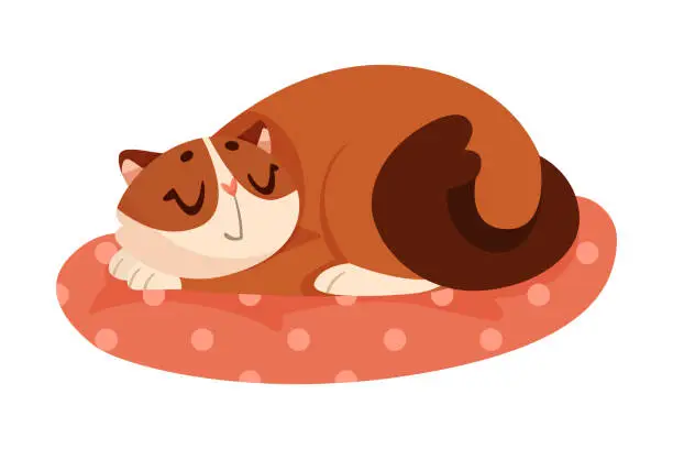 Vector illustration of Funny Cat Cuddling on Pillow as Domestic Pet Vector Illustration