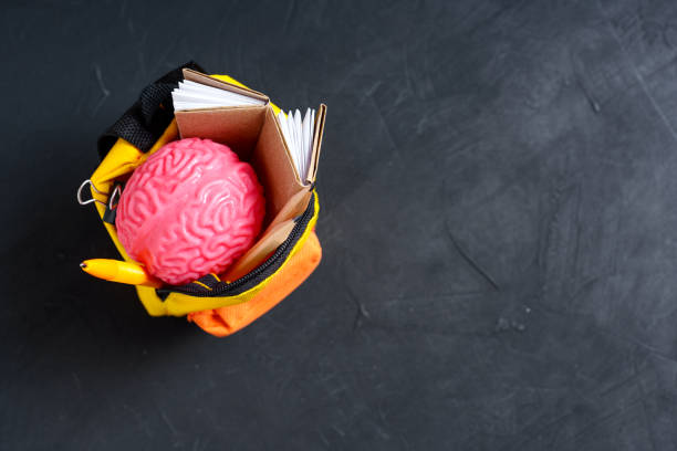 istock Backpack with Human Brain, Books and Pencils on Black 1500223610