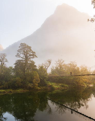 Early morning at Milford Track and hiker crossing suspension bridge with a majestic view in Fiordland National Park, South Island, New Zealand.