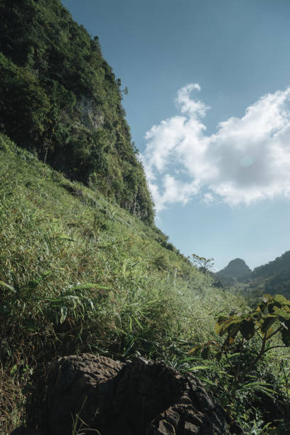 istock Trekking in Thailand mountain route 1500226904